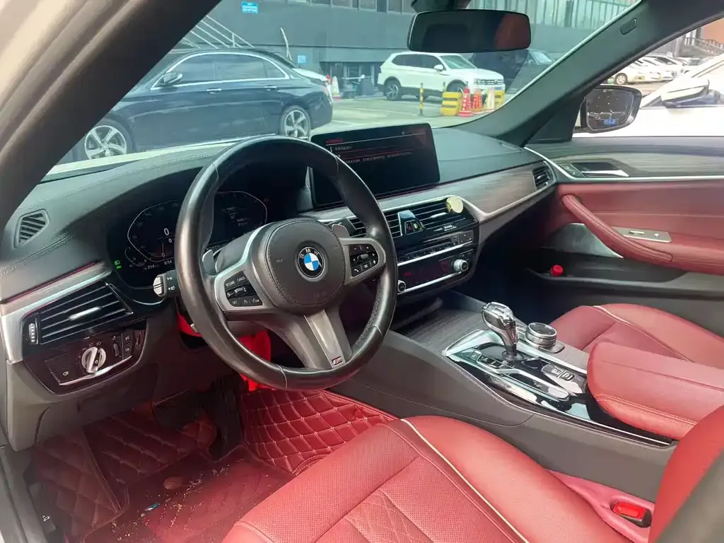BMW 5 Series 2022 из CN, фото 6