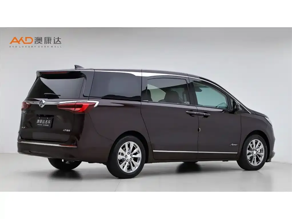 Buick GL8 2022 из CN, фото 8