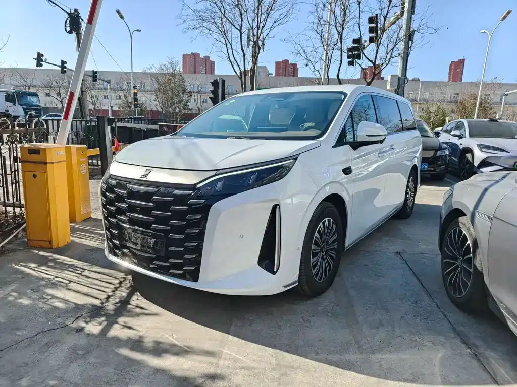BYD Xia 2025 из CN, фото 1