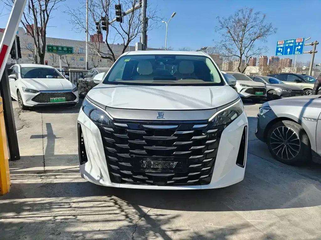 BYD Xia 2025 из CN, фото 9