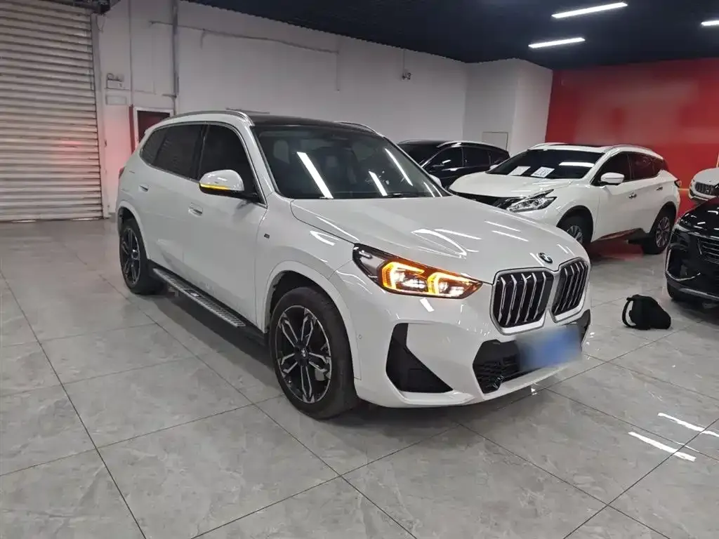 BMW X1 2024 из CN, фото 9