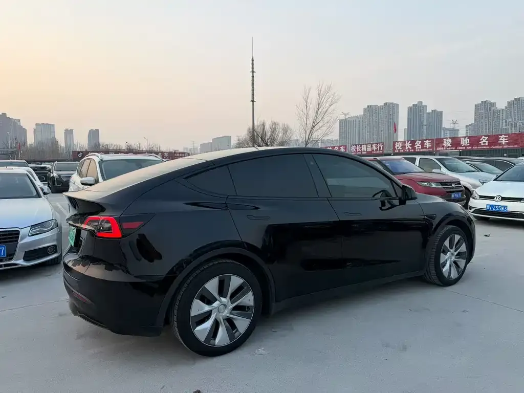 Tesla Model Y 2023 из CN, фото 6