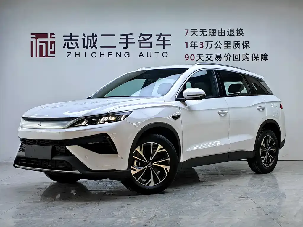 BYD Pro New Energy 2025 из CN, фото 1