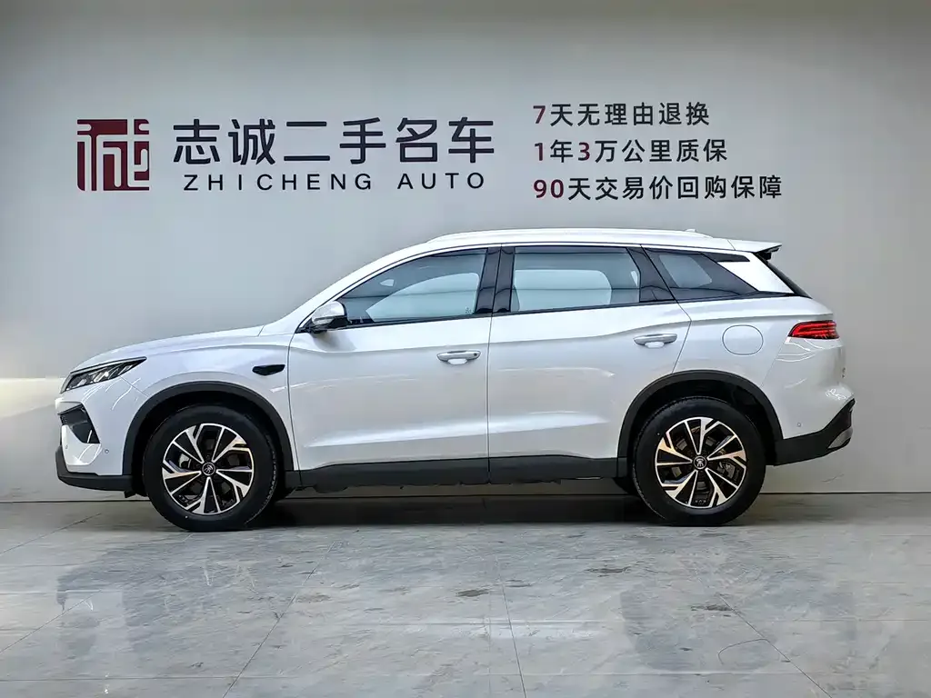 BYD Pro New Energy 2025 из CN, фото 10