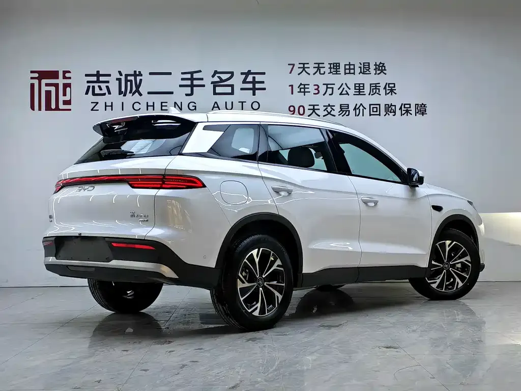 BYD Pro New Energy 2025 из CN, фото 4