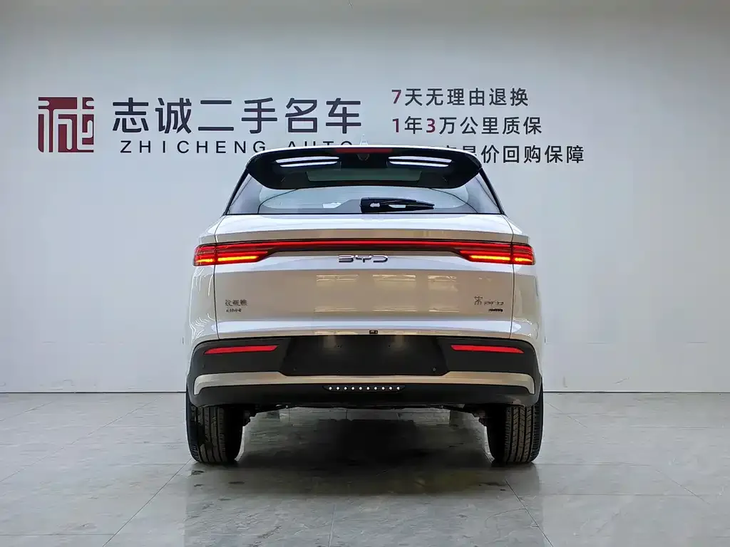 BYD Pro New Energy 2025 из CN, фото 2