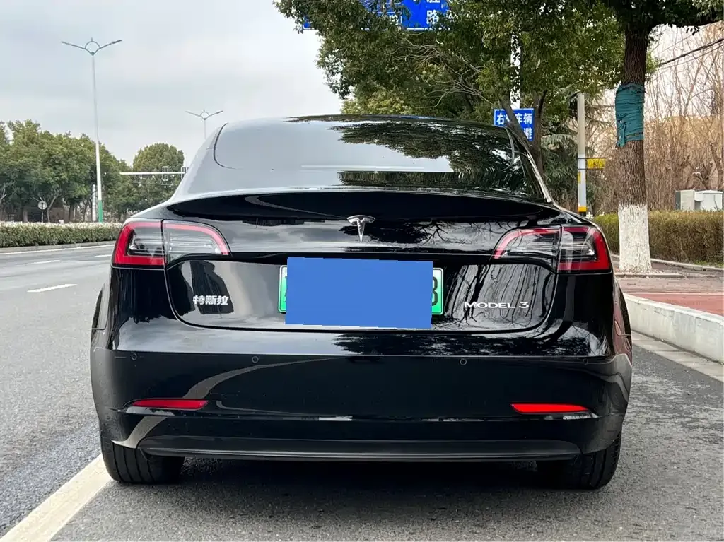 Tesla Model 3 2023 из CN, фото 2