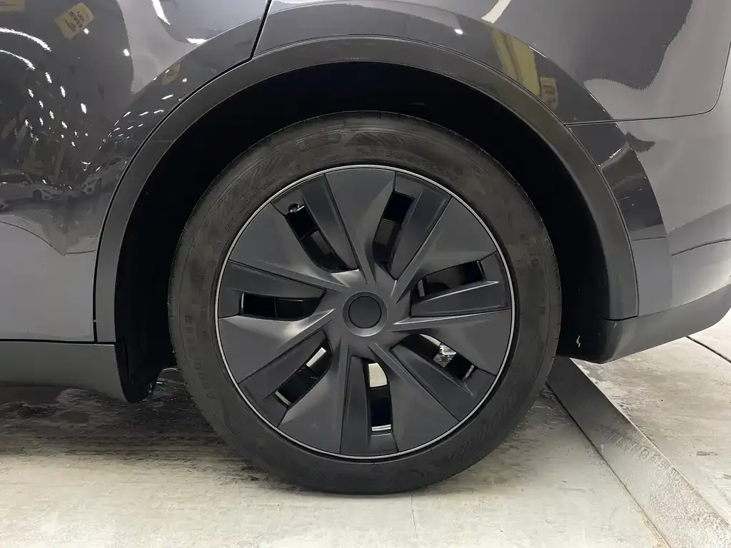 Tesla Model Y 2025 из CN, фото 4