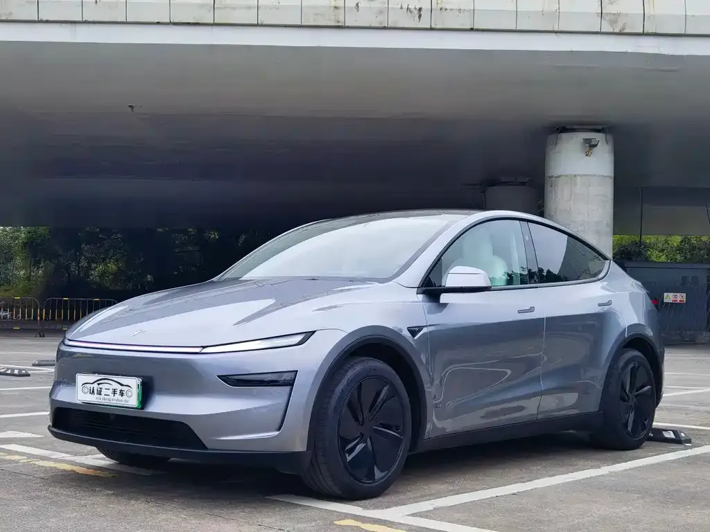 Tesla Model Y 2025 из CN, фото 1
