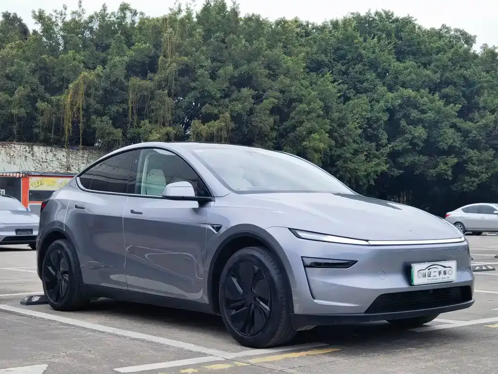 Tesla Model Y 2025 из CN, фото 8