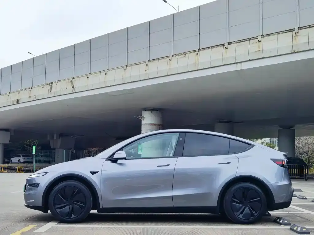 Tesla Model Y 2025 из CN, фото 6