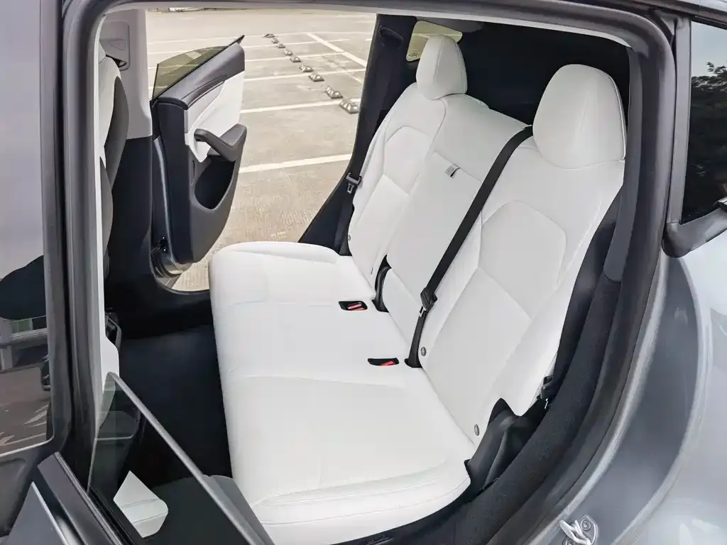 Tesla Model Y 2025 из CN, фото 2
