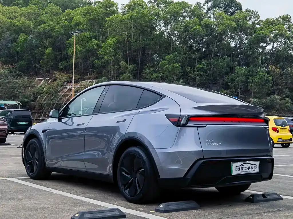 Tesla Model Y 2025 из CN, фото 9