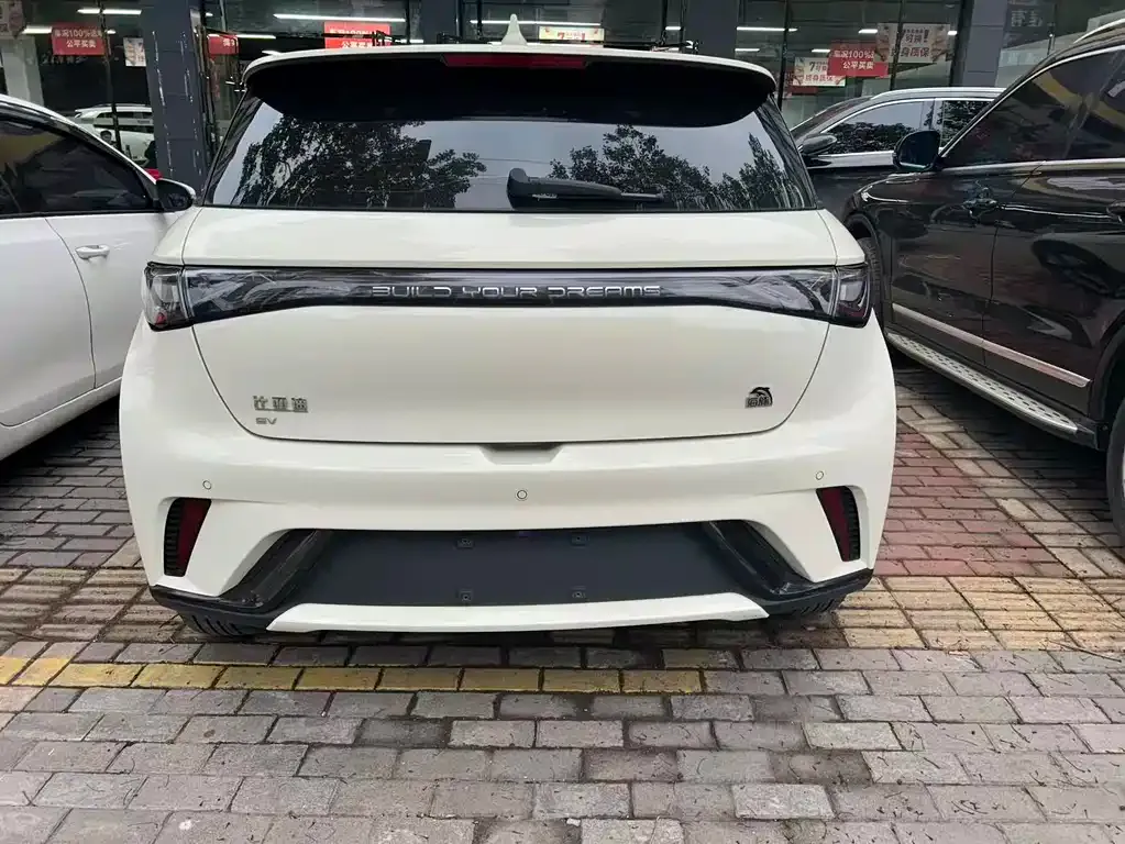 BYD Dolphin 2023 из CN, фото 3