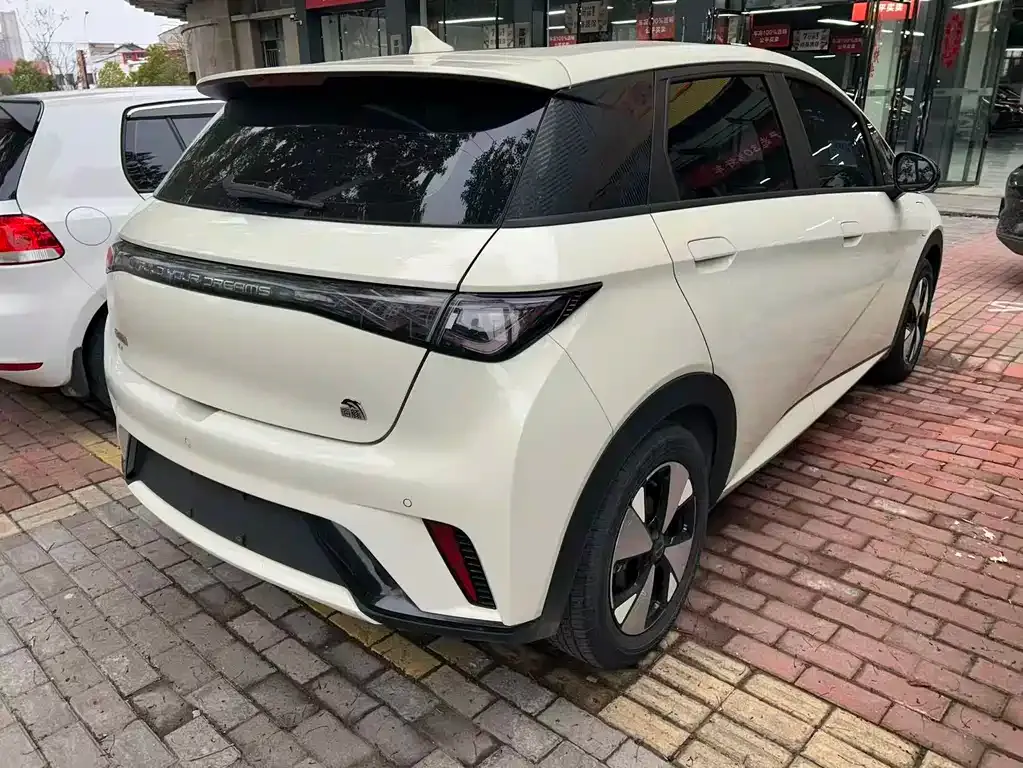 BYD Dolphin 2023 из CN, фото 9