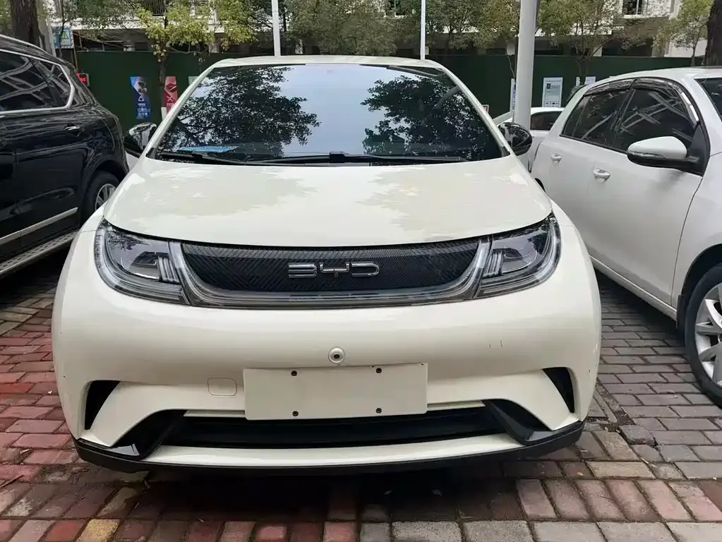 BYD Dolphin 2023 из CN, фото 5