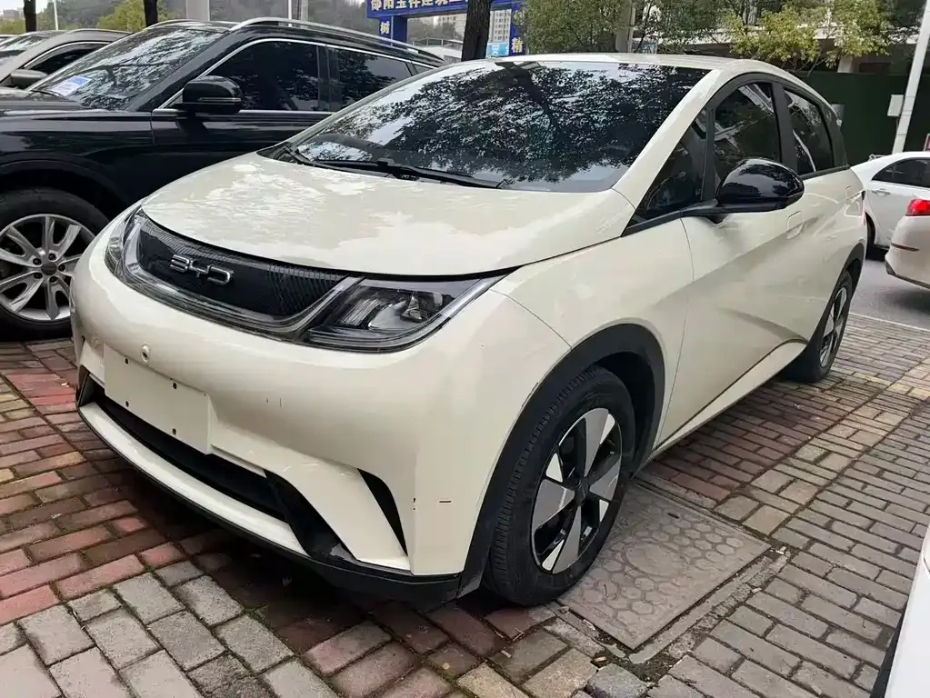 BYD Dolphin 2023 из CN, фото 4