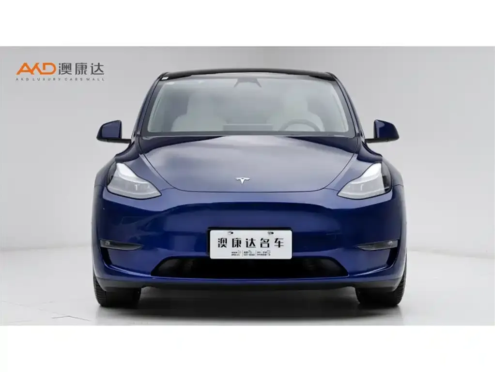 Tesla Model Y 2024 из CN, фото 10