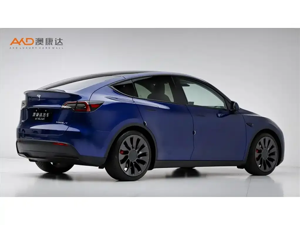 Tesla Model Y 2024 из CN, фото 6