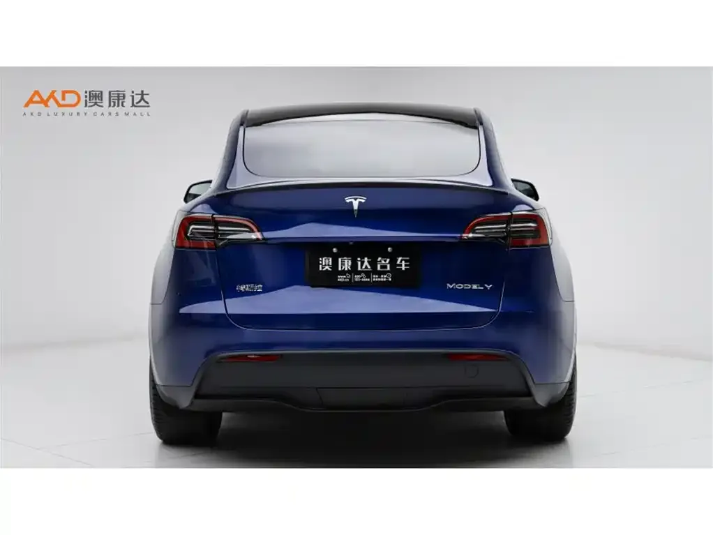 Tesla Model Y 2024 из CN, фото 2
