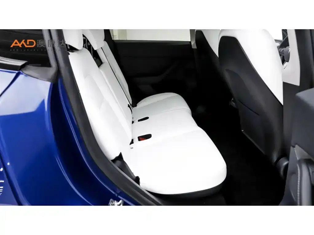 Tesla Model Y 2024 из CN, фото 4