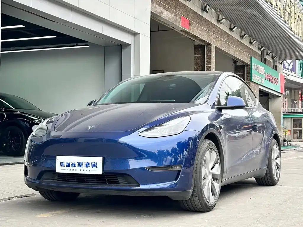 Tesla Model Y 2021 из CN, фото 1