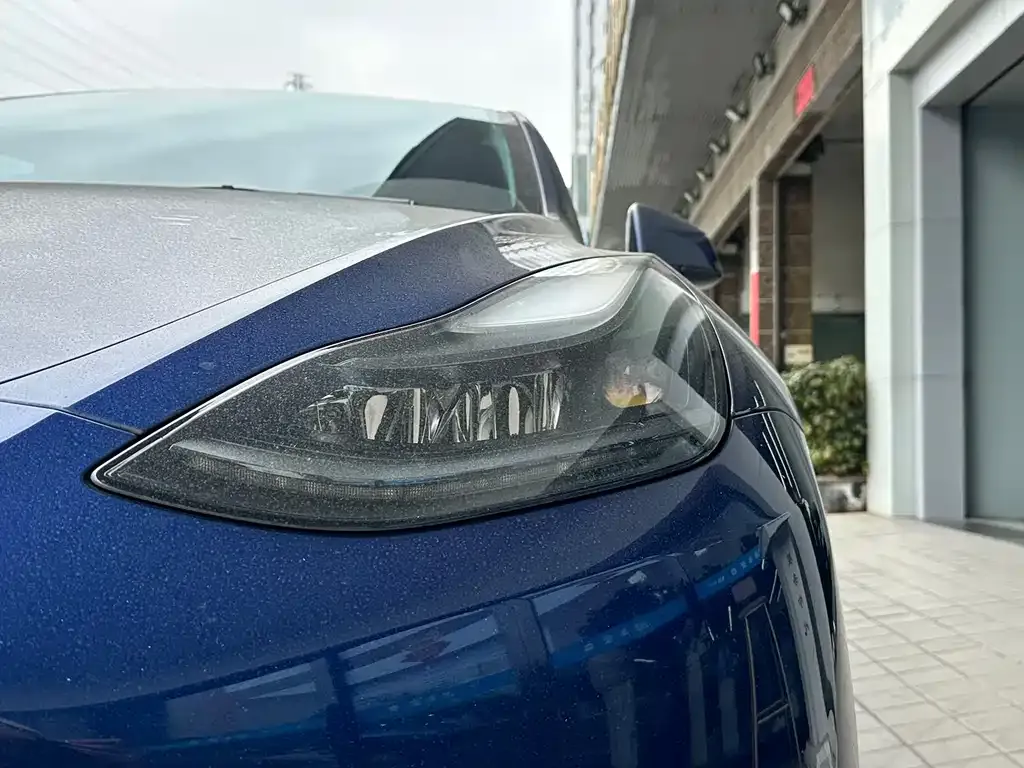 Tesla Model Y 2021 из CN, фото 9