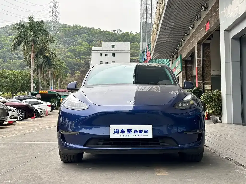 Tesla Model Y 2021 из CN, фото 5