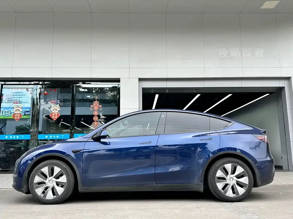 Tesla Model Y 2021 из CN, фото 3
