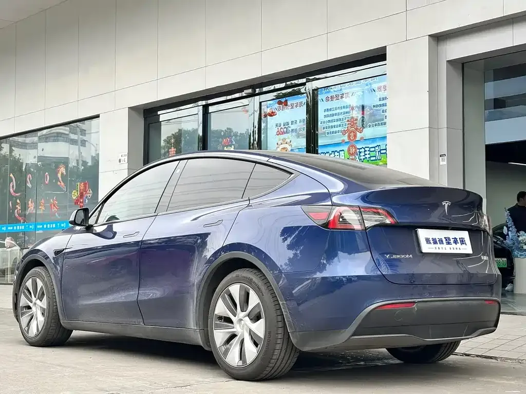 Tesla Model Y 2021 из CN, фото 6