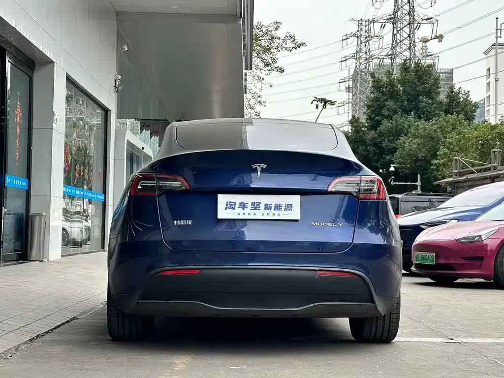 Tesla Model Y 2021 из CN, фото 4