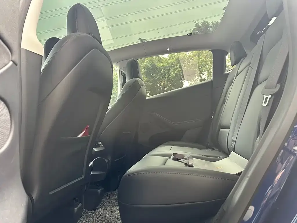 Tesla Model Y 2021 из CN, фото 8