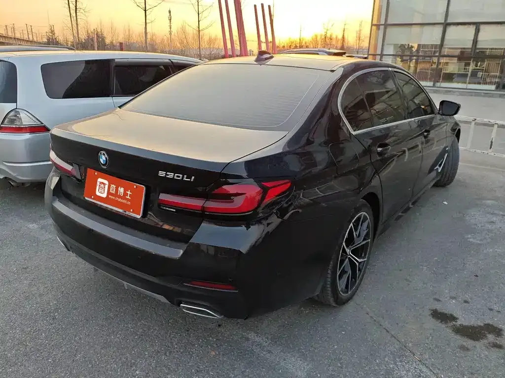 BMW 5 Series 2023 из CN, фото 4