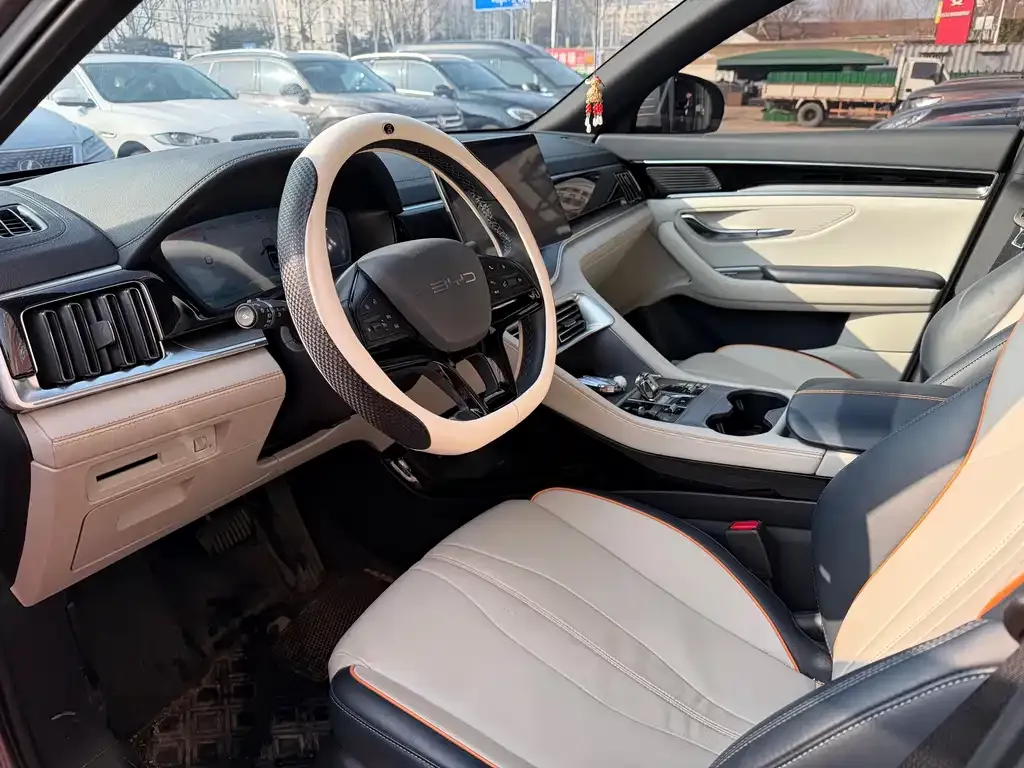 BYD PLUS New Energy 2024 из CN, фото 5