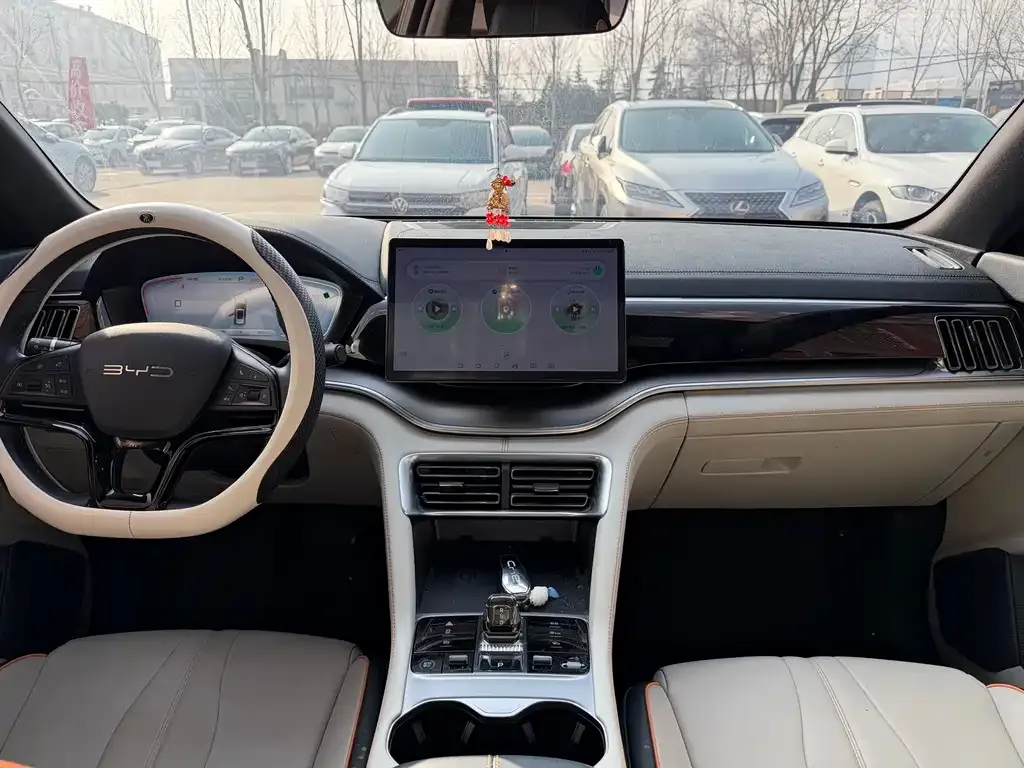 BYD PLUS New Energy 2024 из CN, фото 4
