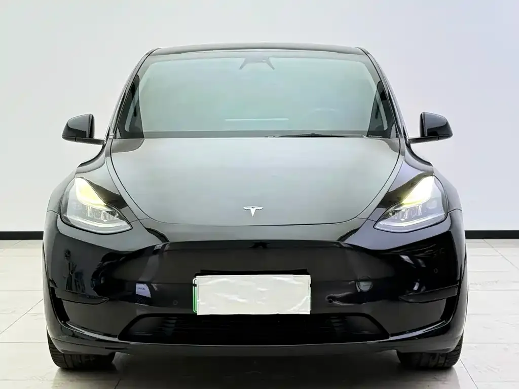 Tesla Model Y — фото 2
