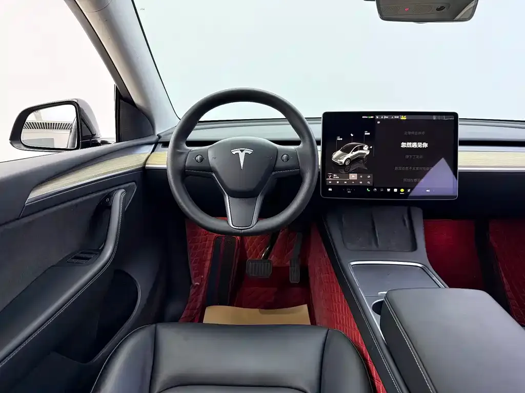 Tesla Model Y — фото 8