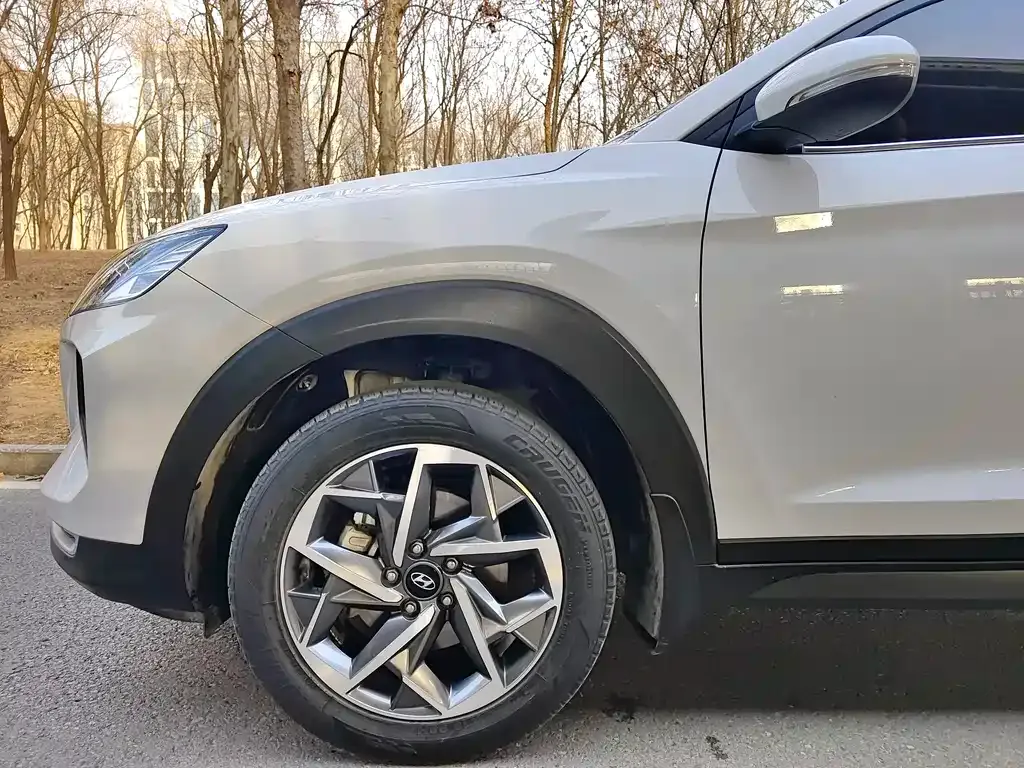 Hyundai Tucson 2021 из CN, фото 2