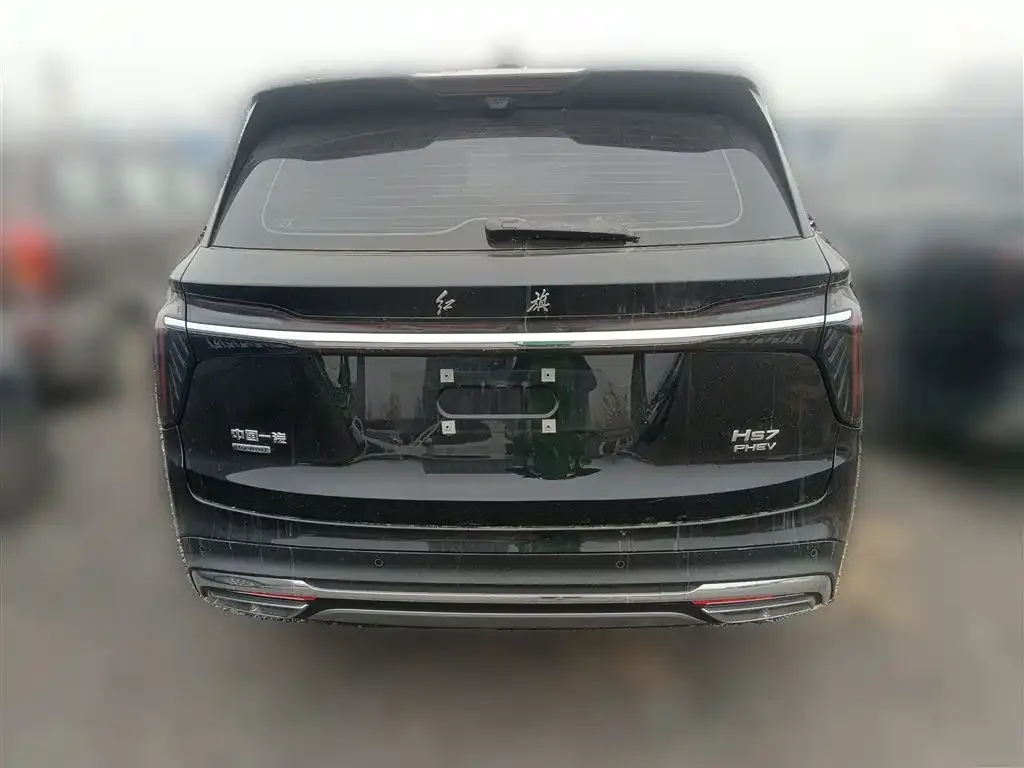 Hongqi HS7 PHEV 2024 из CN, фото 2