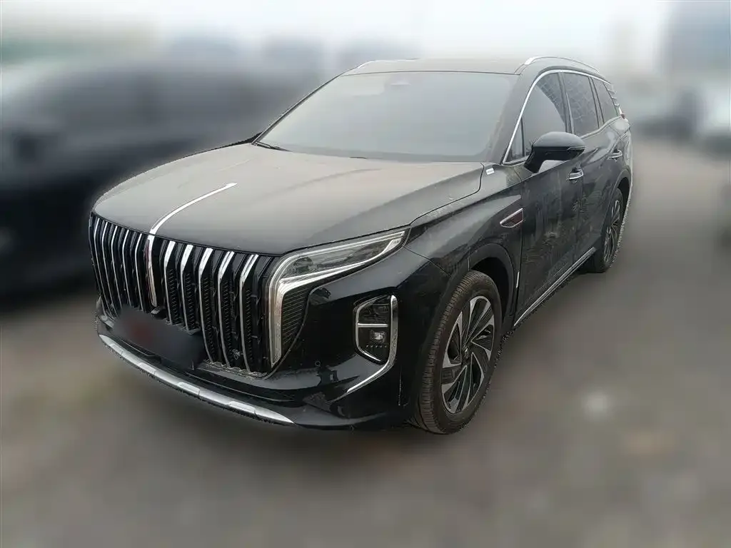Hongqi HS7 PHEV 2024 из CN, фото 3