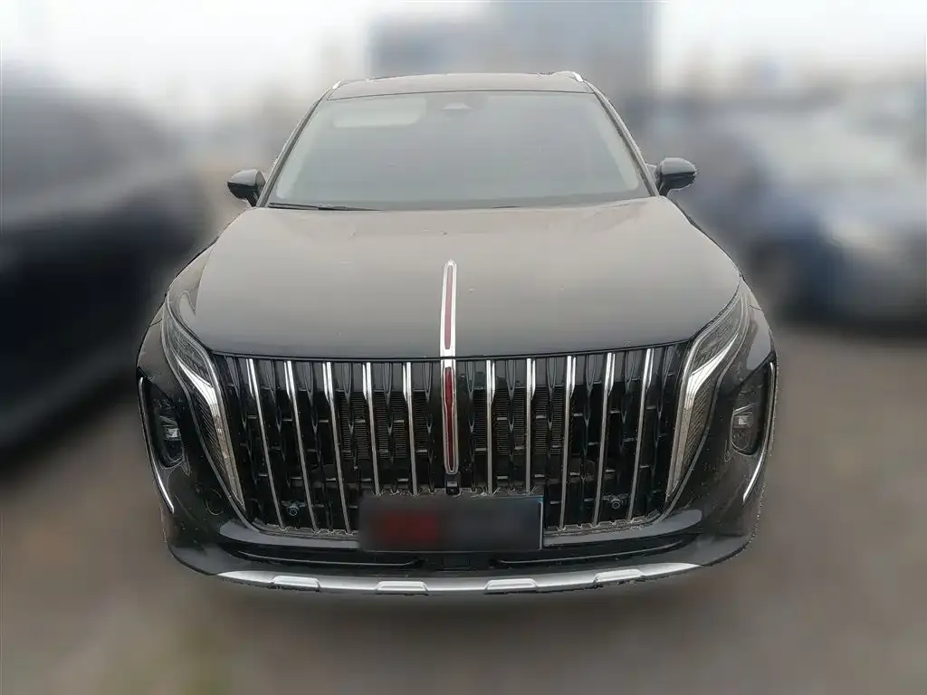 Hongqi HS7 PHEV 2024 из CN, фото 4