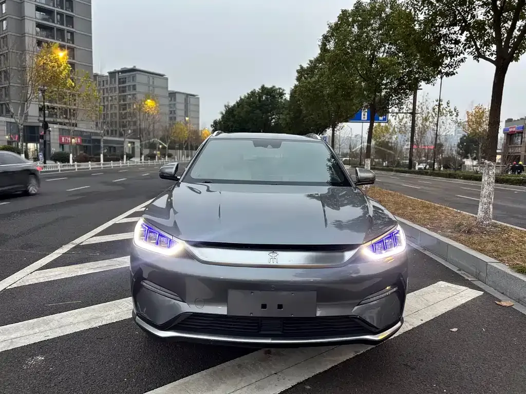 BYD PLUS New Energy 2021 из CN, фото 6