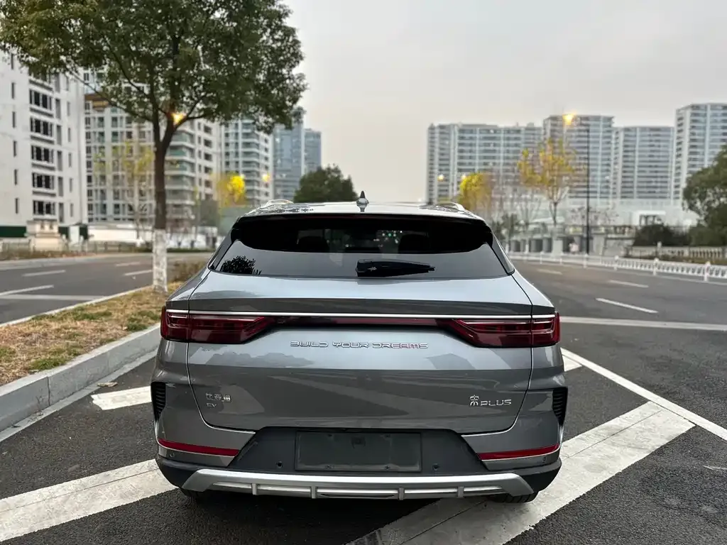 BYD PLUS New Energy 2021 из CN, фото 7
