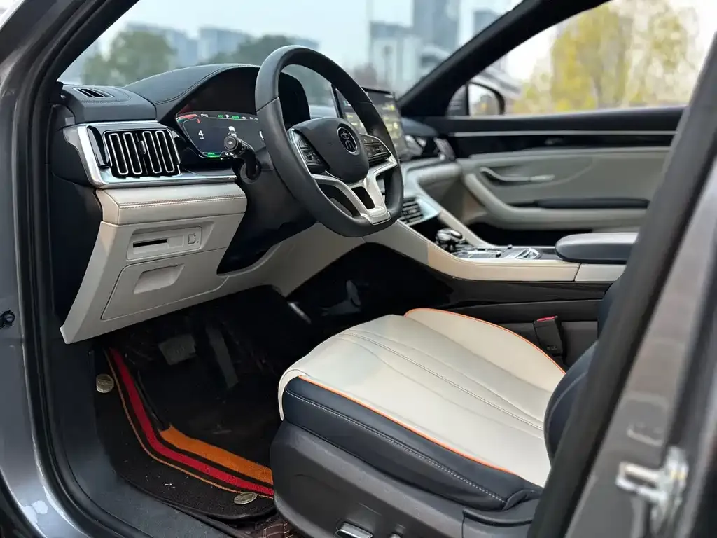 BYD PLUS New Energy 2021 из CN, фото 2