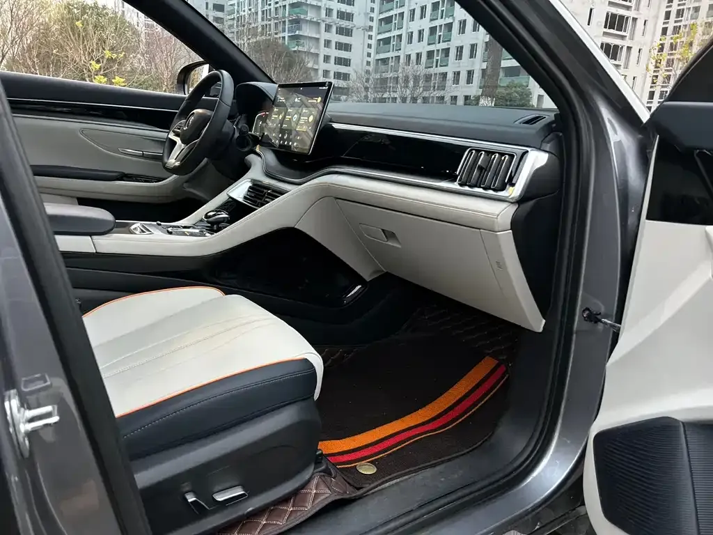 BYD PLUS New Energy 2021 из CN, фото 3