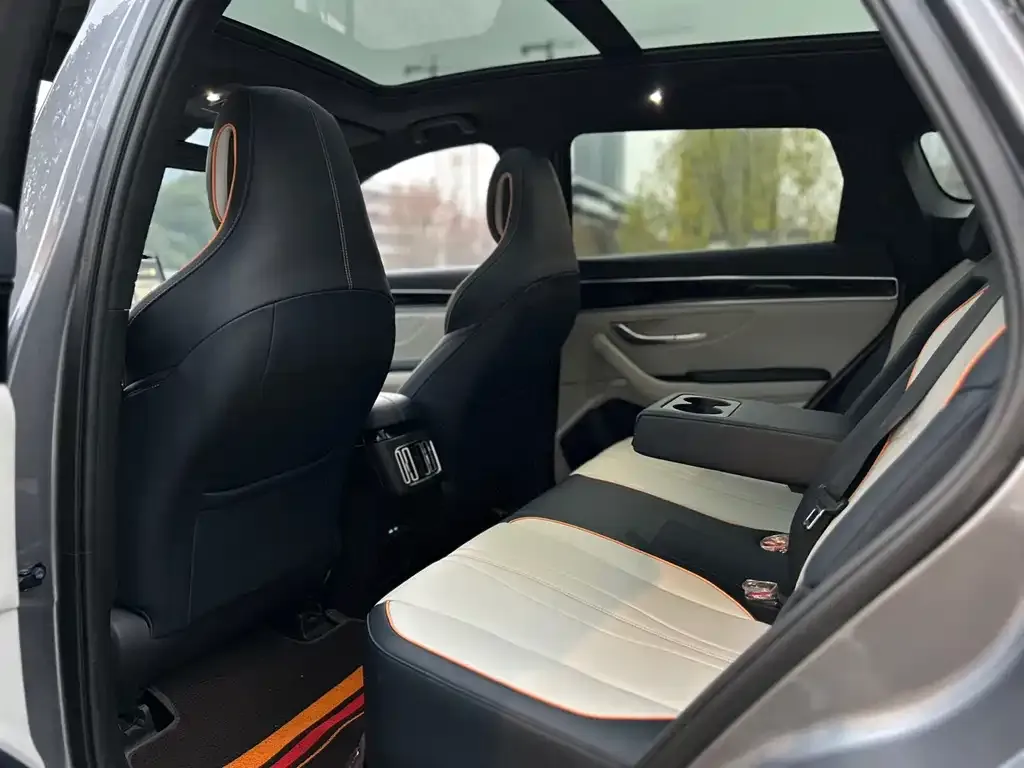 BYD PLUS New Energy 2021 из CN, фото 4