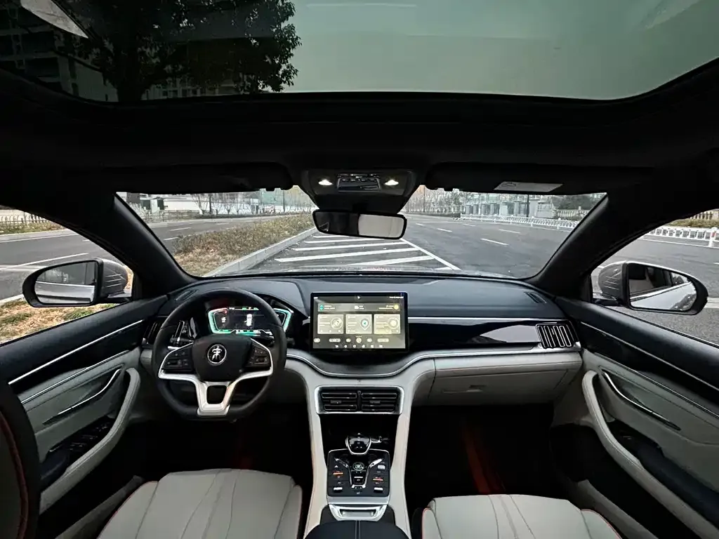 BYD PLUS New Energy 2021 из CN, фото 5