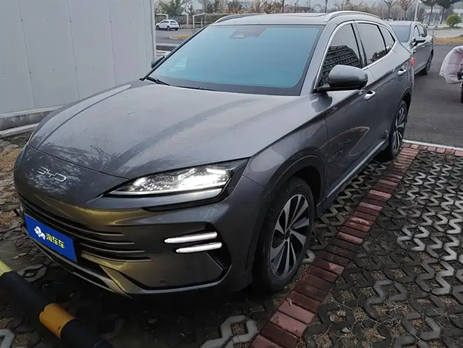 BYD PLUS New Energy 2023 из CN, фото 1