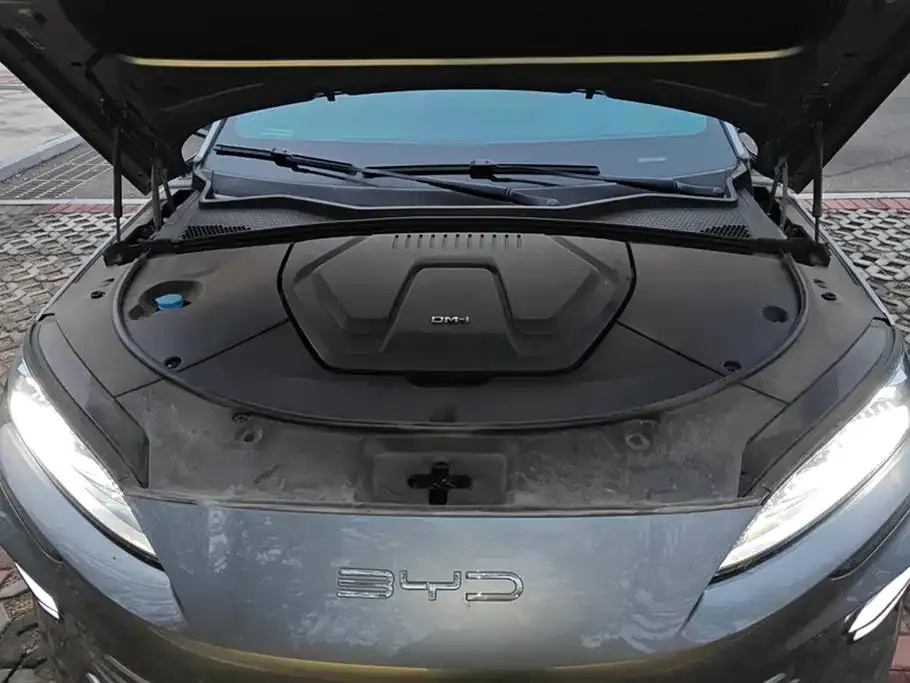 BYD PLUS New Energy 2023 из CN, фото 6