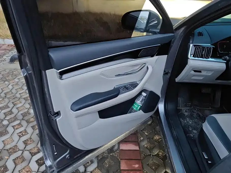 BYD PLUS New Energy 2023 из CN, фото 4
